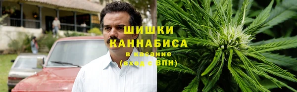 PSILOCYBIN Елизово