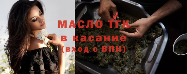 стаф Дмитров