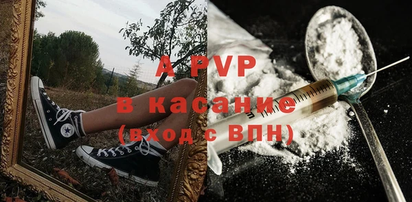 стаф Дмитров