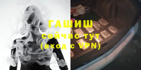 стафф Дмитриев