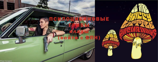 марки nbome Ельня
